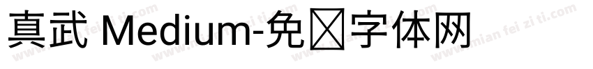 真武 Medium字体转换